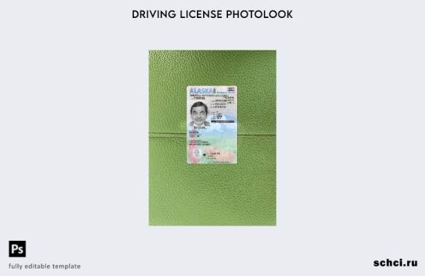цифровая загрузка США, Аляска, водительские права, фотообраз переднего шаблона